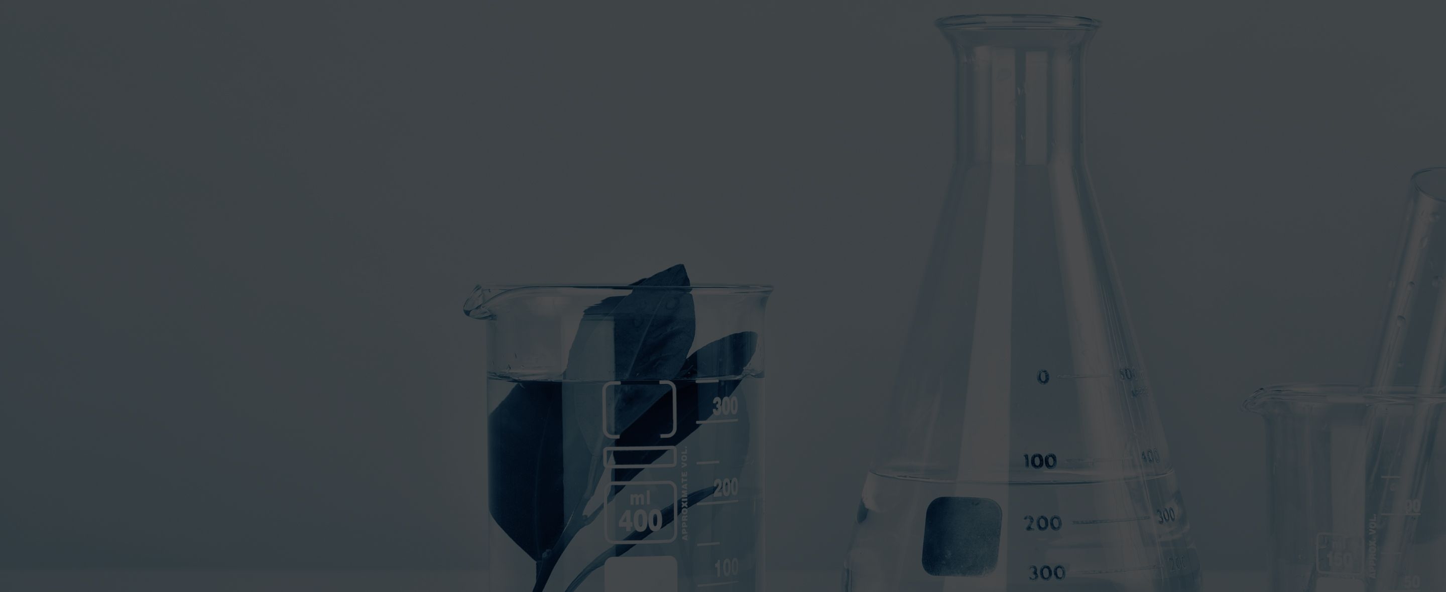 Import from UK_ Shipping tips - Header.jpg