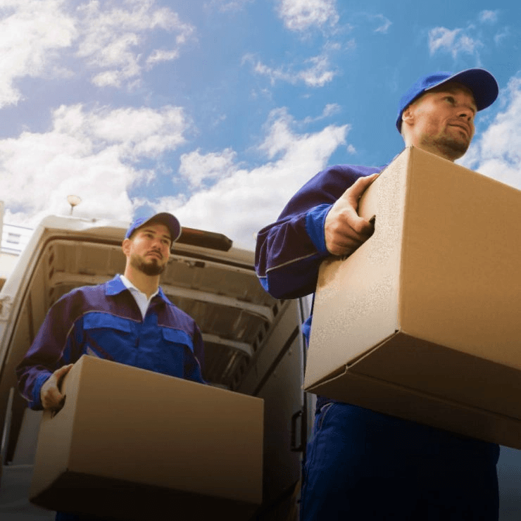 International Movings