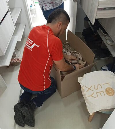 400x450 mudanza premium4