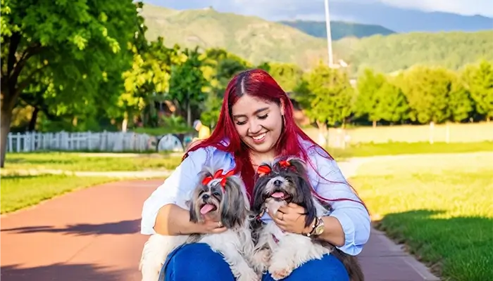 traslado de mascotas